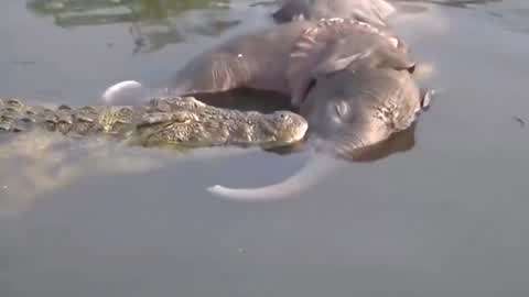 厦门杜帕特酒业有限公司 招标