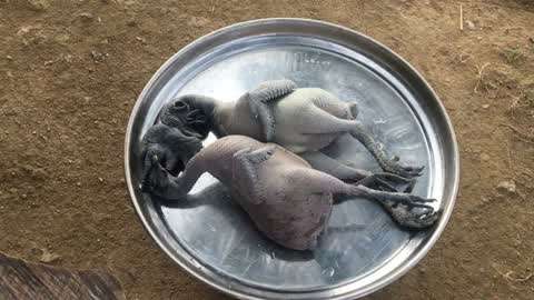 日本韩国亚洲欧美在线