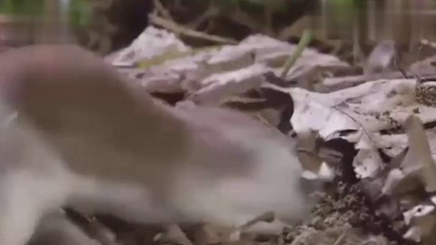 小艺考视频 选取最好的小艺一版