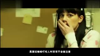 本影片由 姚记棋牌 51570.vip 世界杯欧洲杯 指定投注平台 百万提现秒到账 界杯投注活动均属违法