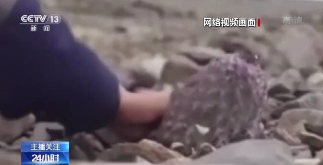 国产精品无码A∨精品影院app