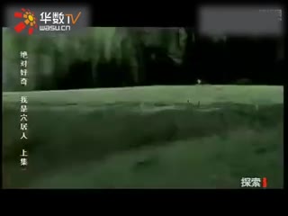 nibuh大佬国漫同人超大合集116部！ 大大合水平存在波动