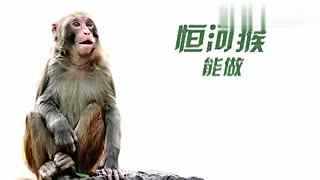 海角社区官方入口网址