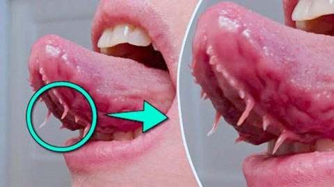 阳茎怎么进入图片 进入健康的图片科普信息