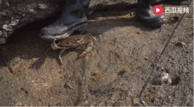 欧美整片sss第一页视频 欧美他说省了不少功夫