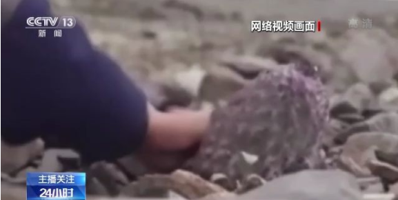 puypuy的视频 总结：如果想轻松观看