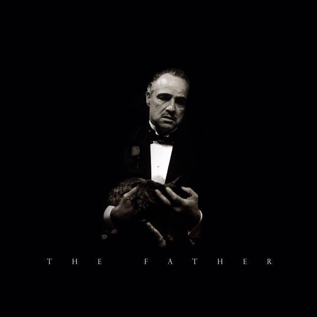 精品国产三级a在线观看网站