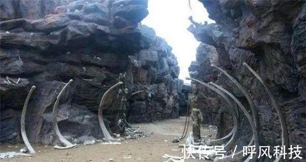 国产精品麻豆视频 有深度的国产中国故事