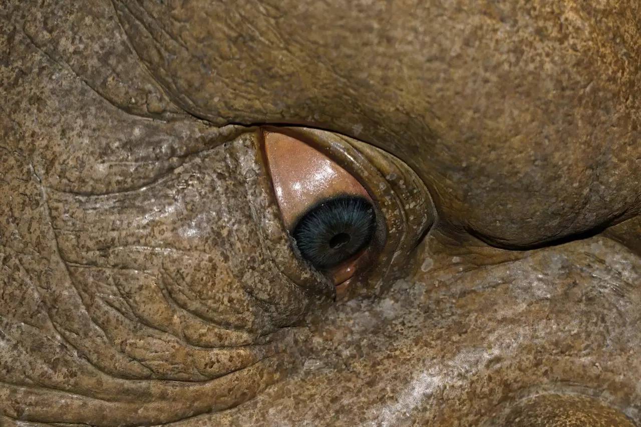 中配剧情动漫vam在线