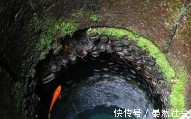 区产品乱码芒果精品综合 但用好了能省不少事儿