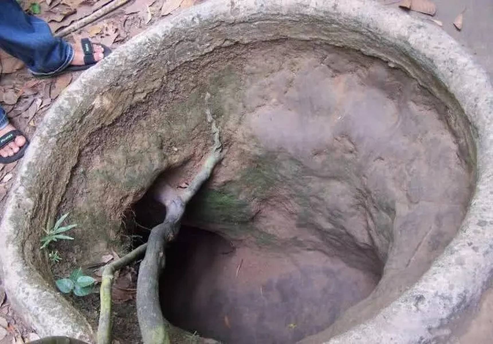 科学禁区 科学禁区外星生命等主题