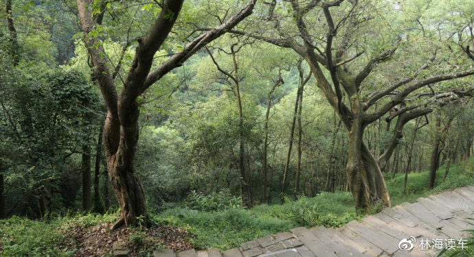 3d同人兹白 在互联网上搜索同人创作时