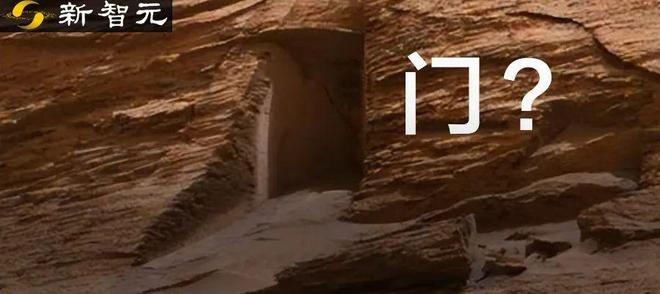 迅雷啄木鸟 依赖于资源的啄木热度