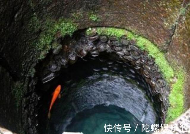 全智薇所有视频