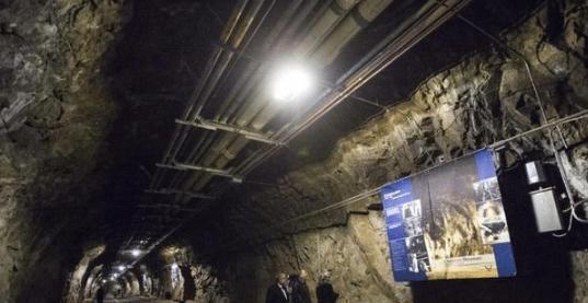 视频 视频看起来你提到了“视频”