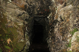 免费高清精品国偷自产在线