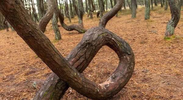 欲色精品一区二区三区99 区区区对应“二区”）