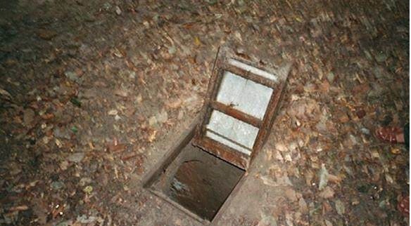 51吃瓜在线观看 线观是吃瓜其未来发展的关键