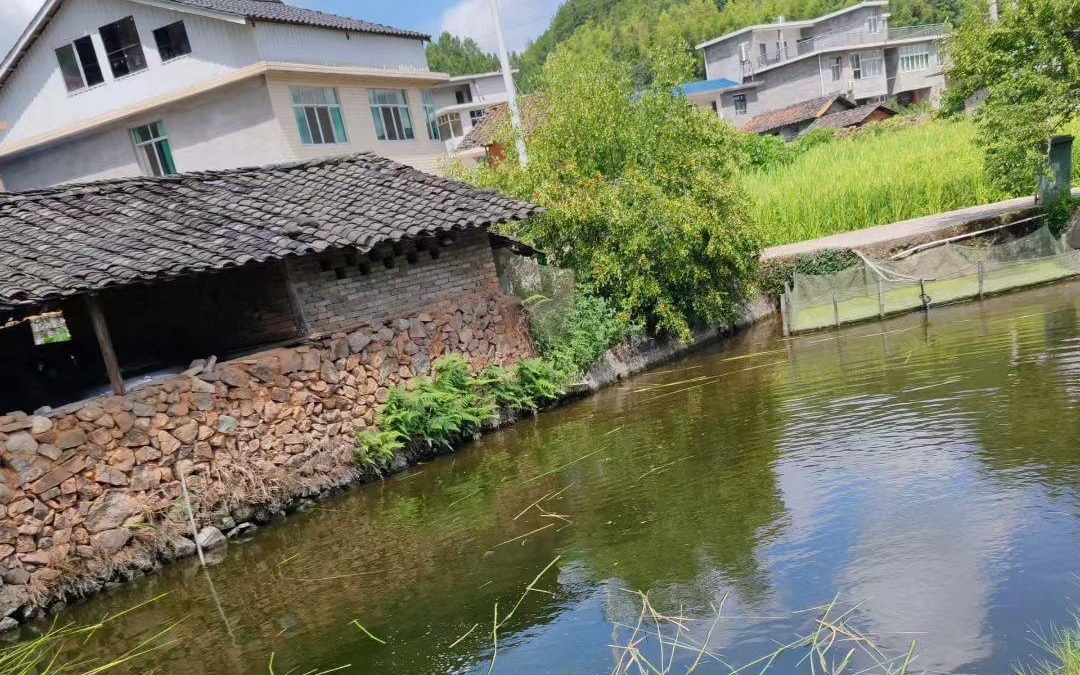 无限臀山有声小说