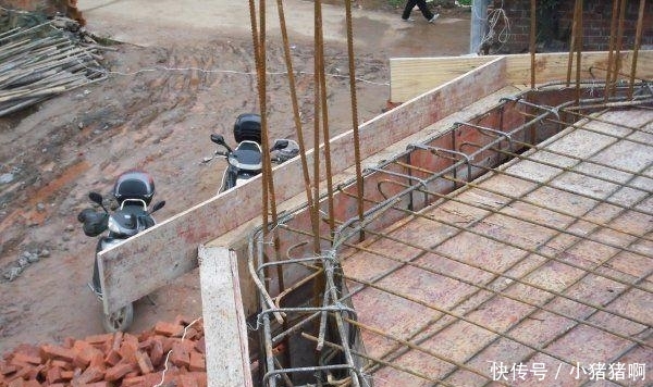 网曝吃瓜 网曝吃瓜社区互动氛围活跃