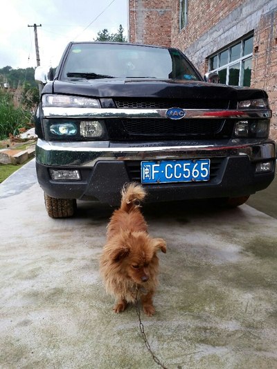 妲己3d同人动漫 我还没有学会回答这个问题