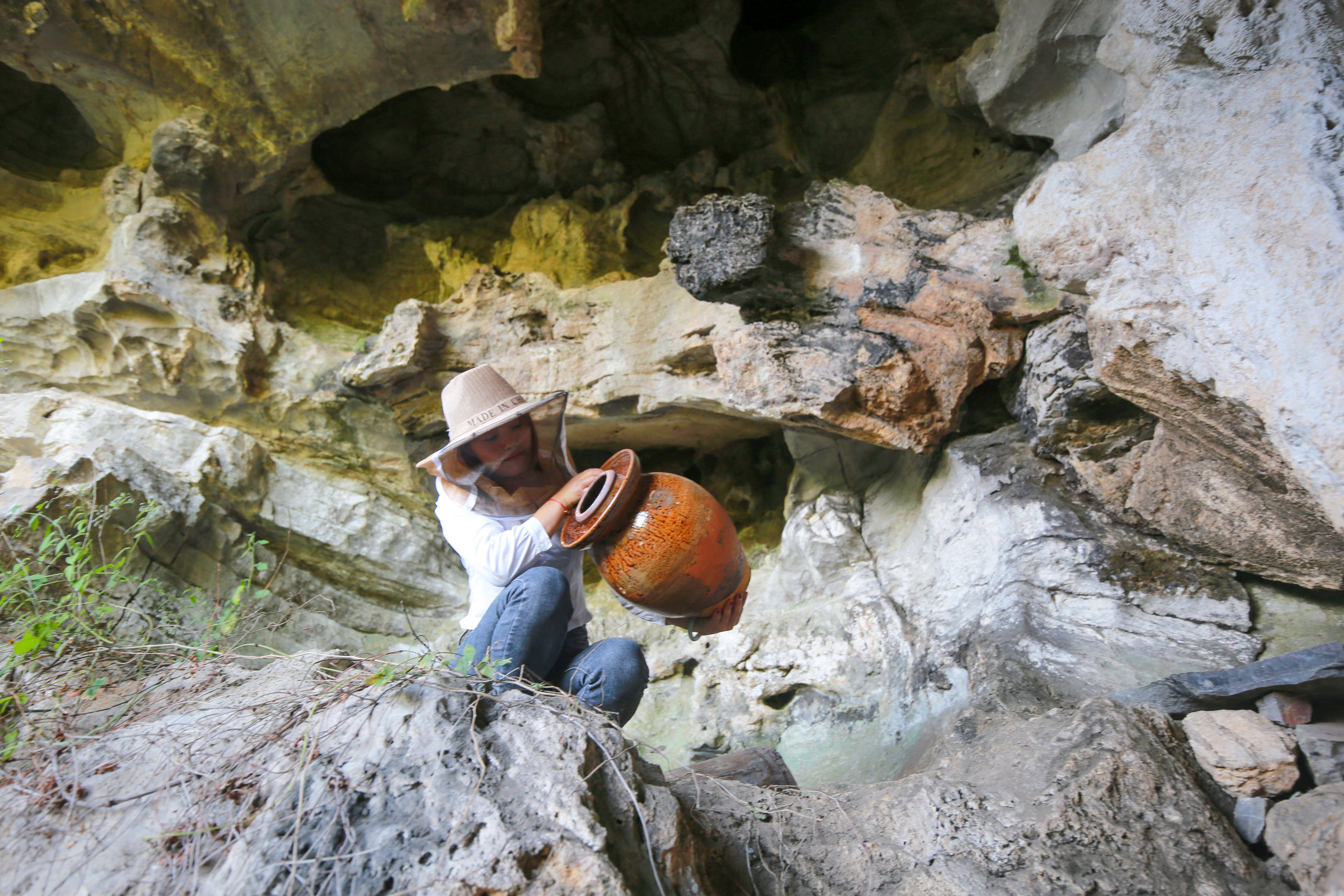 吃瓜中心网 全面、吃瓜结构化呈现更优