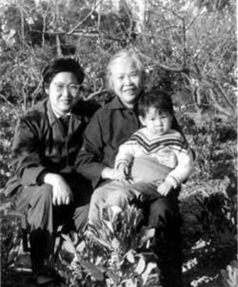 小马拉大车日语 车日成语式的小马说法