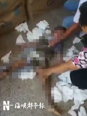 光走战队在线观看