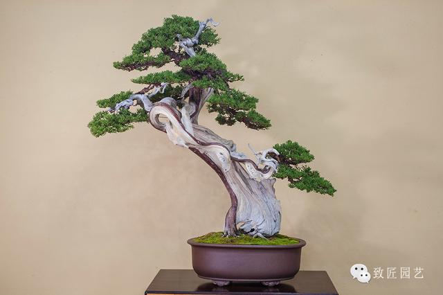 动漫同人完整版