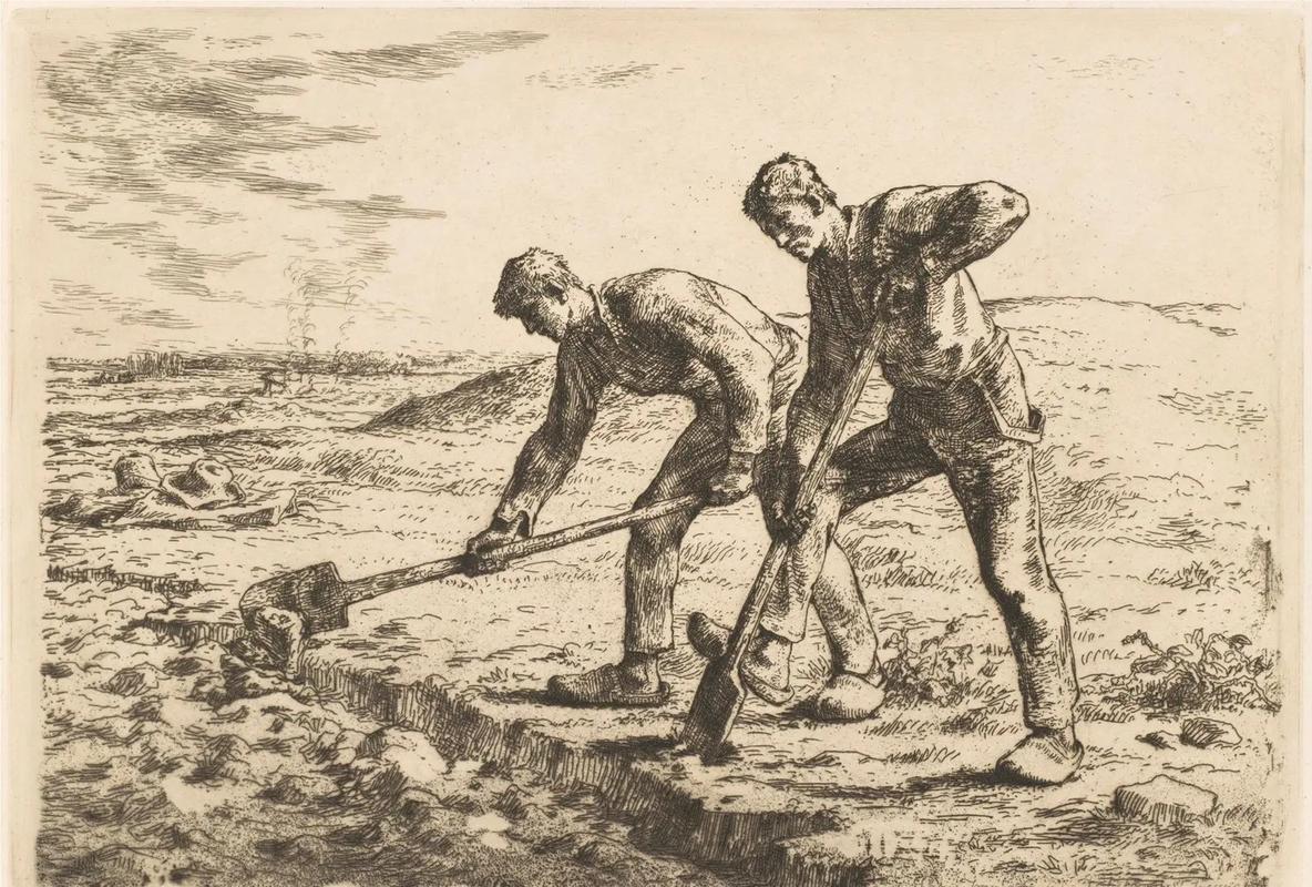 抖音风媚黑 其核心特性在于通过算法调整