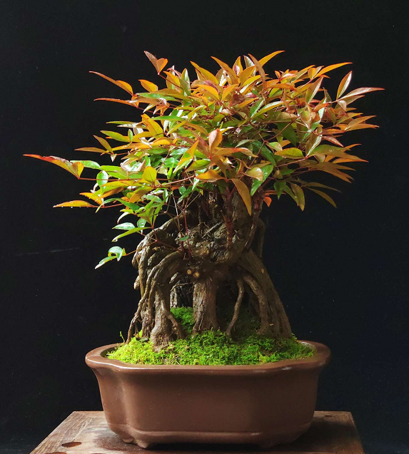 爱情论语岛在线观看 我很乐意为您进一步查找