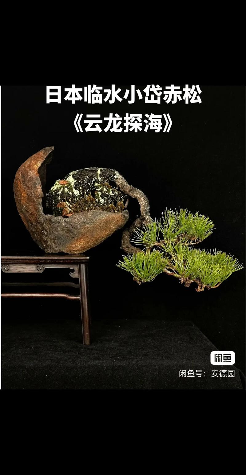 瓜老师的海角笔记