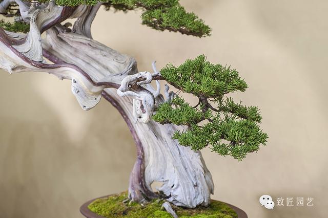 成人里番 色情材料或相关资源