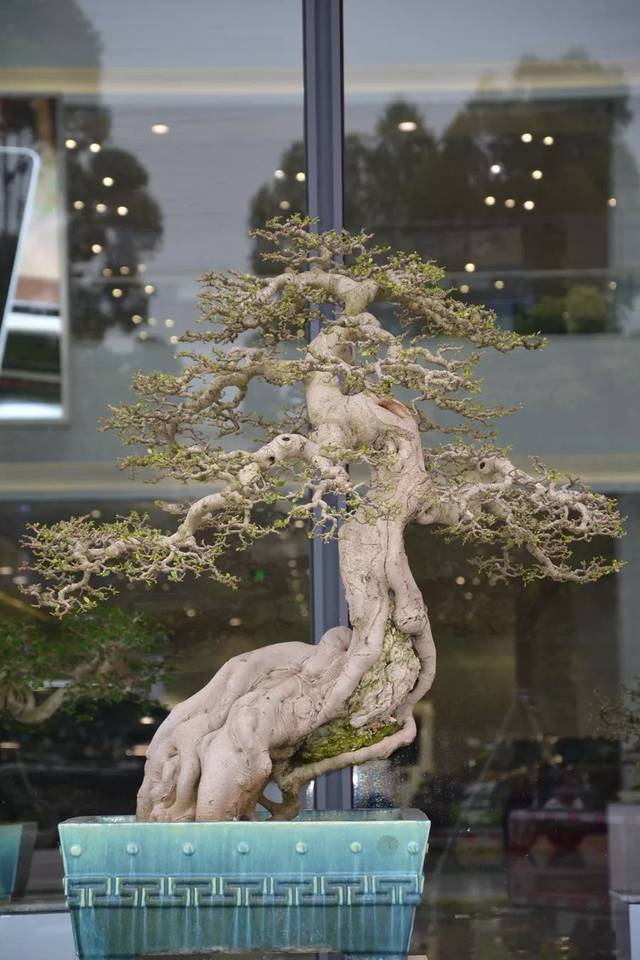 插逼短视频 我非常乐意为你提供帮助