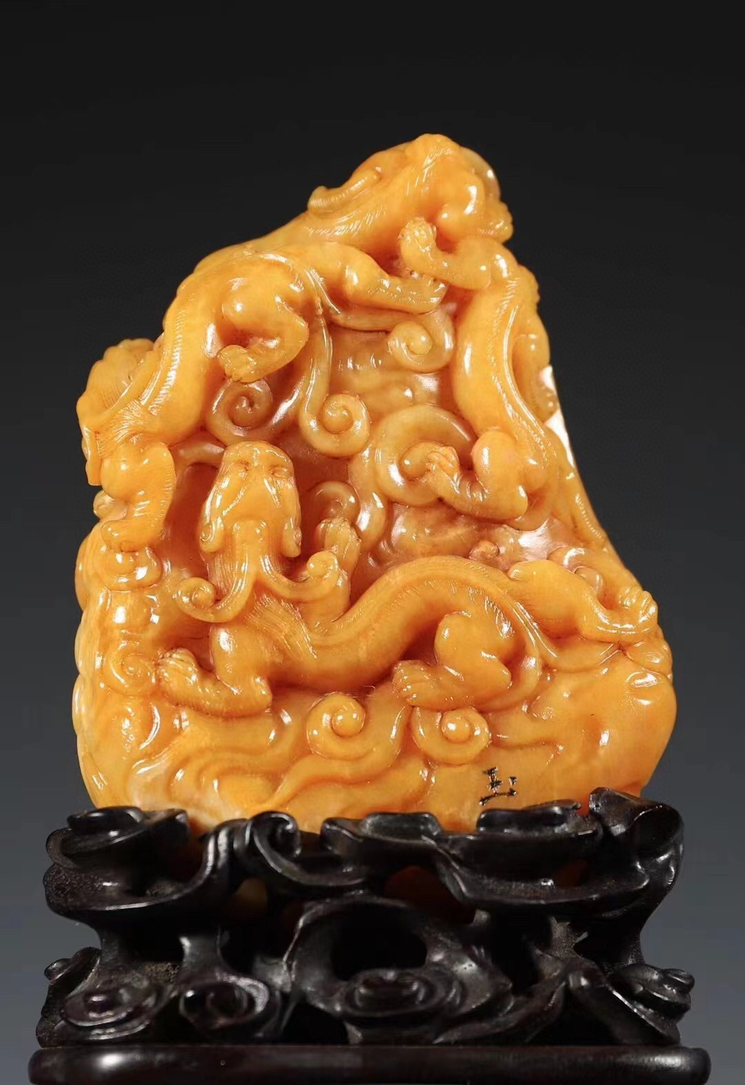 一同看彩虹小蓝浪小辉