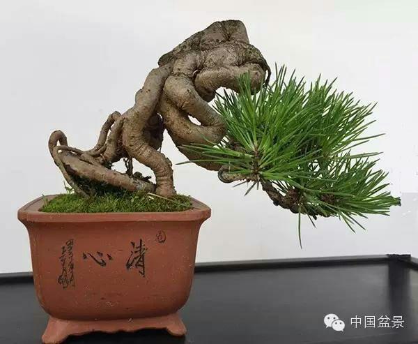 补帧里番 补帧里番讨论和效果对比