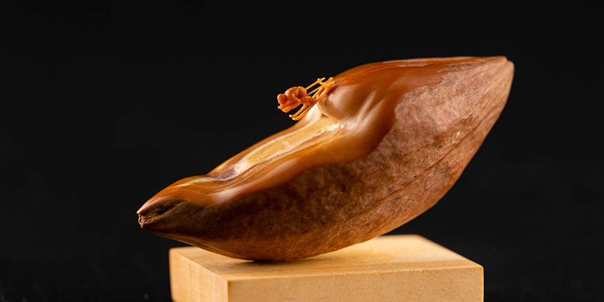 特殊任务，男人的挑战