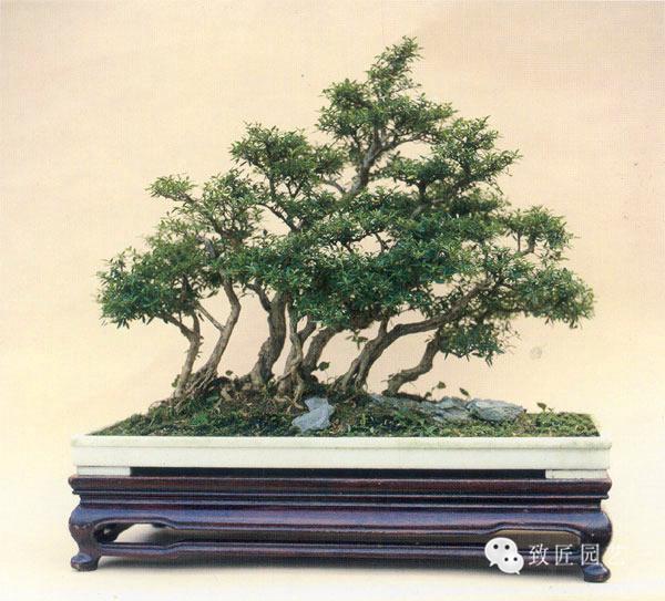 特殊任务，男人的挑战 在荒野中依靠技能生存一周