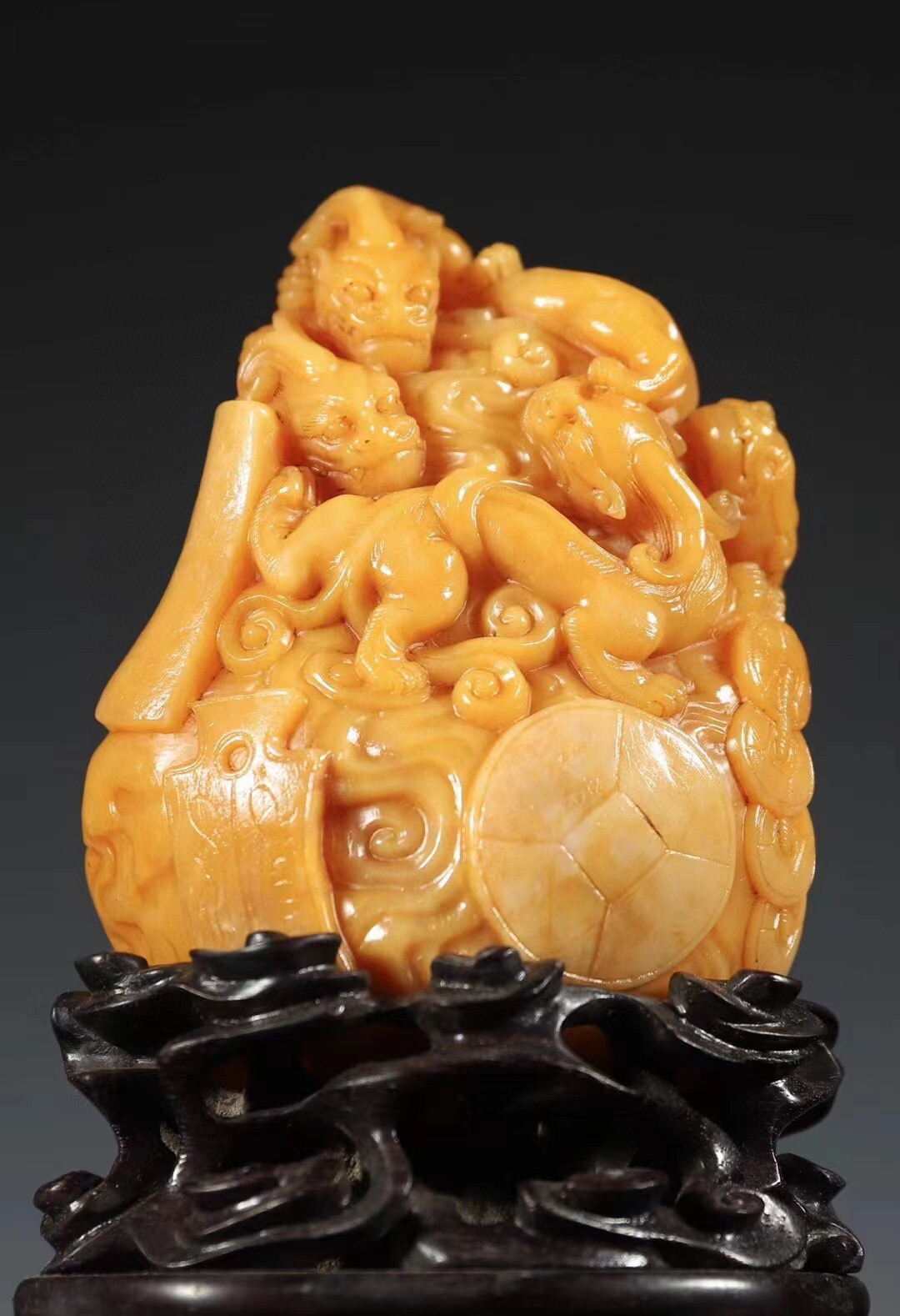 乐趣视频 主打音乐视频和可视化播放