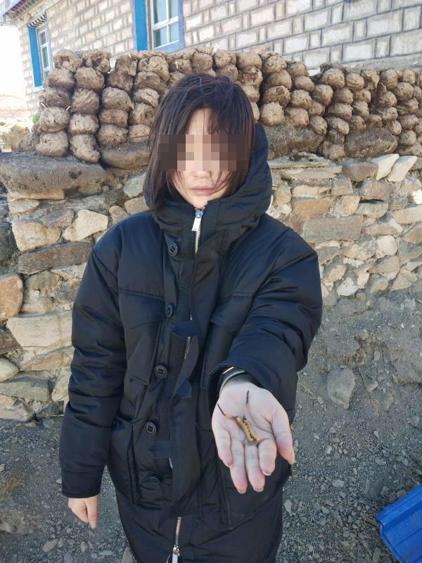 每日大赛91大赛