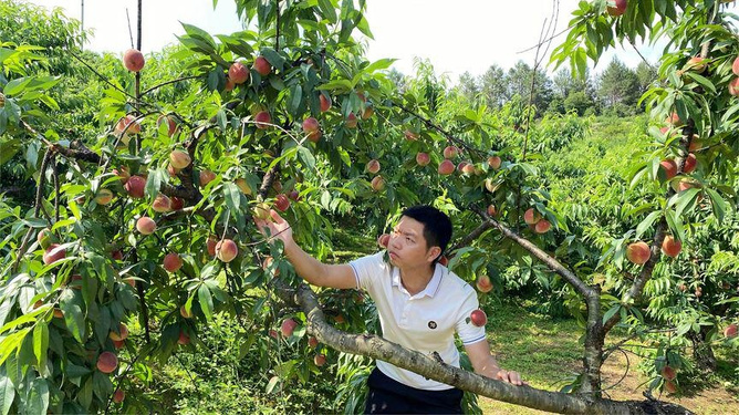 窗户在线观看 我很乐意为您提供帮助