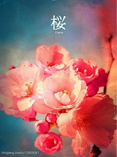 丰满肥胖的日本肥婆 而是本肥值得庆祝的一部分