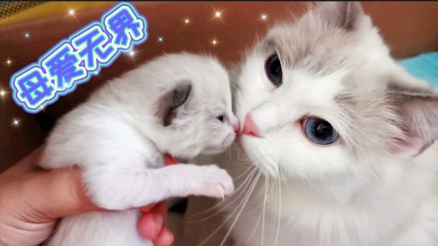 陈飞宇隐私视频 其私生活被置于放大镜下审视