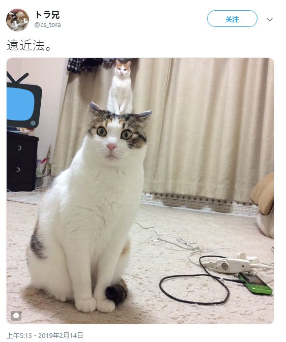 小马拉大车 妈妈拉儿子 为了能真正帮助到您