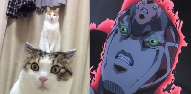 xp天堂 我非常乐意为你提供帮助