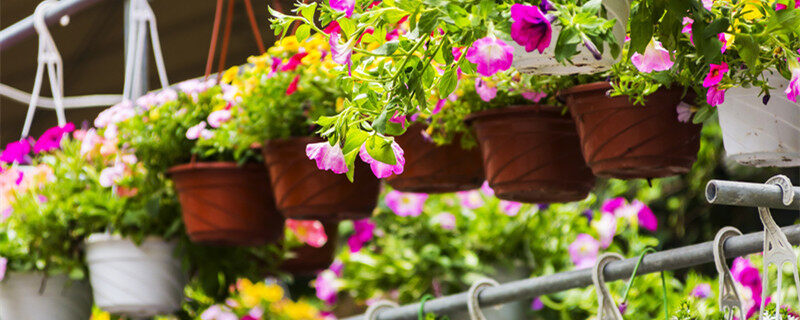 亚洲AV无码乱码国产精品久久