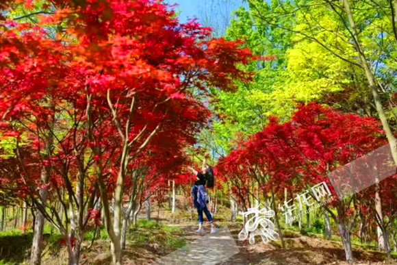 s8在线视频 或海外的线视频HBO Max等