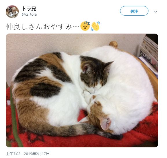 里番漫画在线阅读