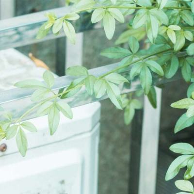 非日常的青姦浪漫 [雨宮沙紀]