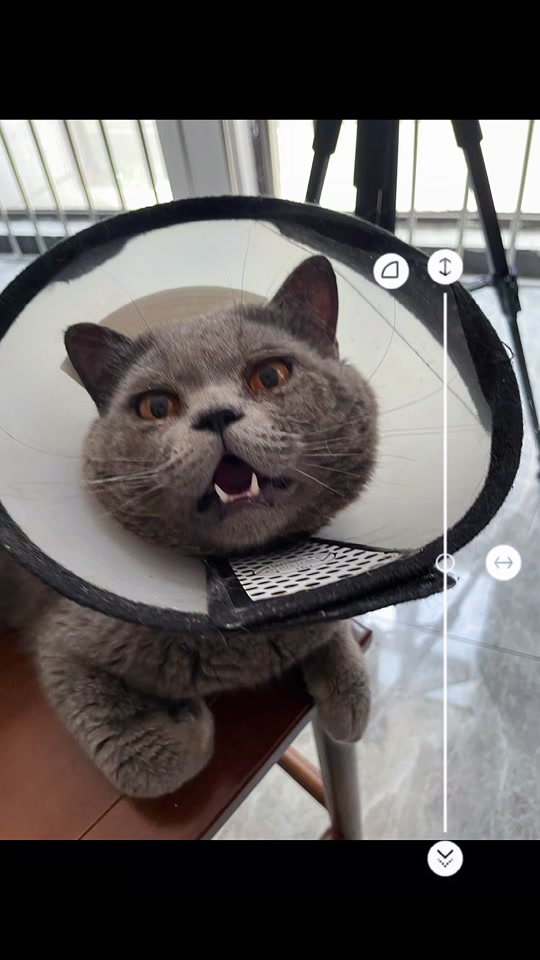 日漫动漫 日漫动漫要全面了解日漫